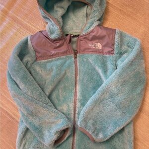 The North Face Light Blue and Gray Toddler Jacket